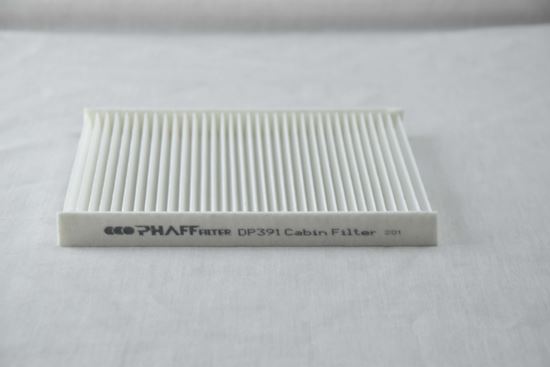 PHAFF DP391 Polen Filtresi  I10 19>